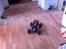 Off-Roader traxxas Rustler