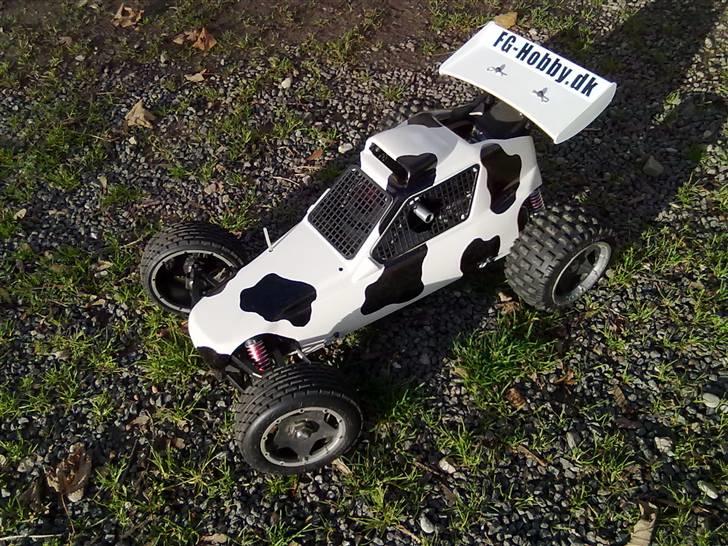 Bil FG Marder  >>Koen<< billede 2