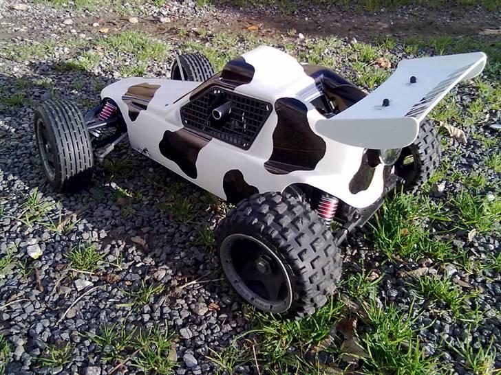 Bil FG Marder  >>Koen<< billede 4