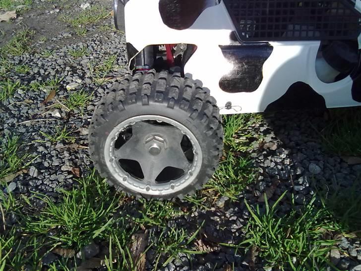 Bil FG Marder  >>Koen<< billede 5