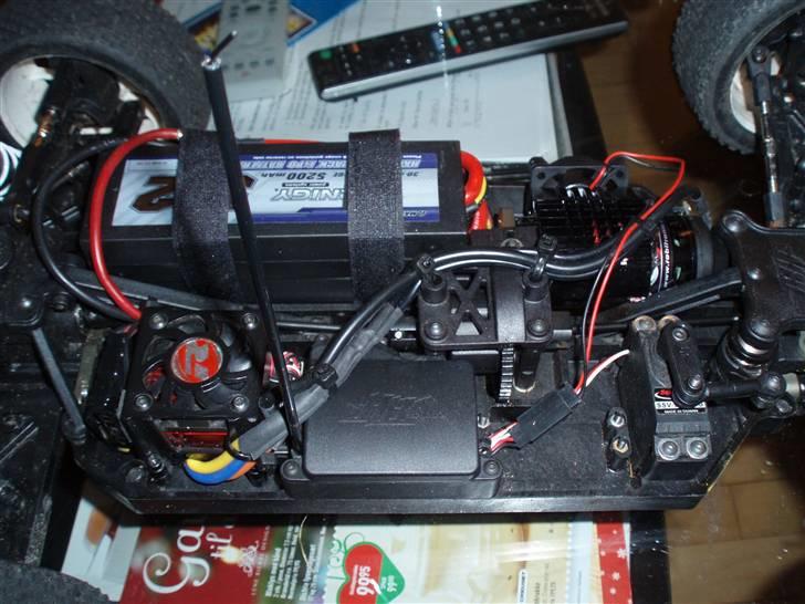 Buggy Hotbodies Ve8 billede 12