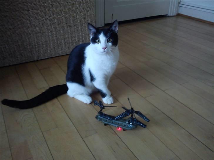 Helikopter Mini Cargo SO26 3ch billede 10