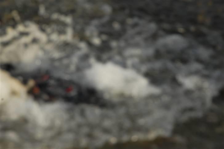 Off-Roader e revo 1.16 Brushless billede 9