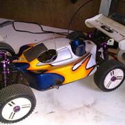 Buggy Nanda Swift
