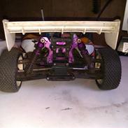Buggy Nanda Swift