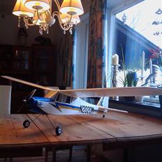 Fly Multiplex Easycub 