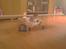 Fly piper j3 cub solgt 