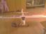 Fly piper j3 cub solgt 