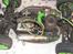 Off-Roader hyper 7 tq super  4x4 