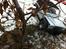 Off-Roader Axial SCX 10 TR