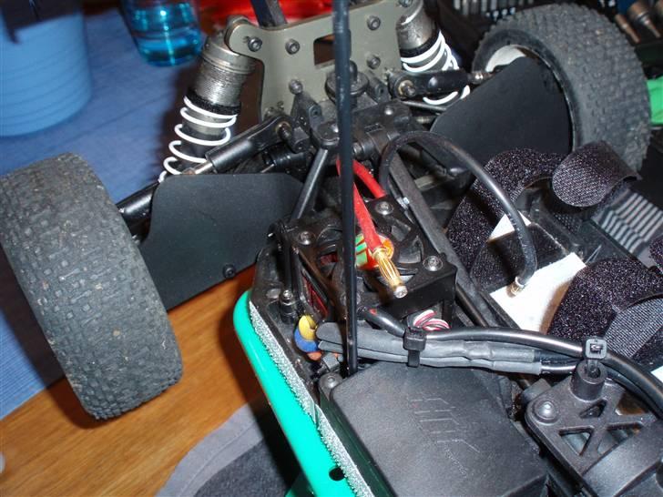 Buggy Hotbodies Ve8 billede 16