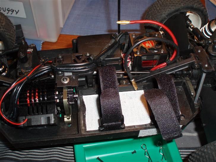 Buggy Hotbodies Ve8 billede 18