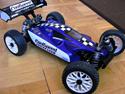Buggy Hotbodies Ve8