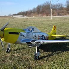 Fly FMS P-51D Mustang