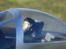 Fly FMS P-51D Mustang
