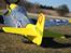 Fly FMS P-51D Mustang