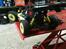 Buggy hong nor sport