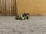 Buggy hong nor sport