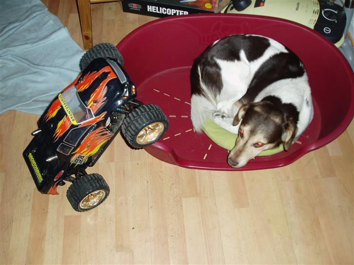 Off-Roader hsp brontosaurus billede 17