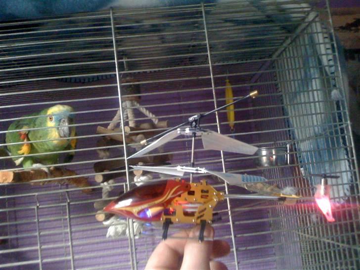 Helikopter Maxam Mini Helikopter (byttet) billede 6