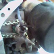 Off-Roader AYK Viper