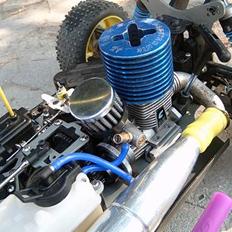 Buggy G.V.M <-> Rex-X