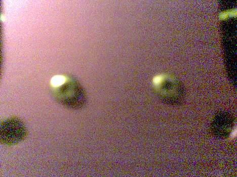 Truck fun factor mt2 - alu. skruer billede 7