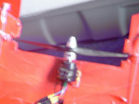Fly vinge (fjergfis) solgt - tha motor billede 3