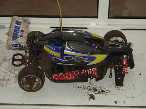 Buggy Great VigorCobraII  billede 7