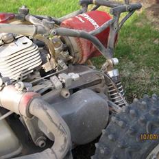 Off-Roader fg Leopard