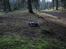 Off-Roader Traxxas E-Jato #1