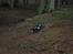 Off-Roader Traxxas E-Jato #1