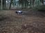 Off-Roader Traxxas E-Jato #1