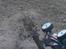 Buggy AE RC8Be Factory Team