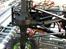 Off-Roader axial scx10 #SOLGT#