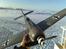 Fly Focke-Wulf Fw 190A-8  - Focke-Wulf Fw 190A-8 færdig samlet og klar til kamp