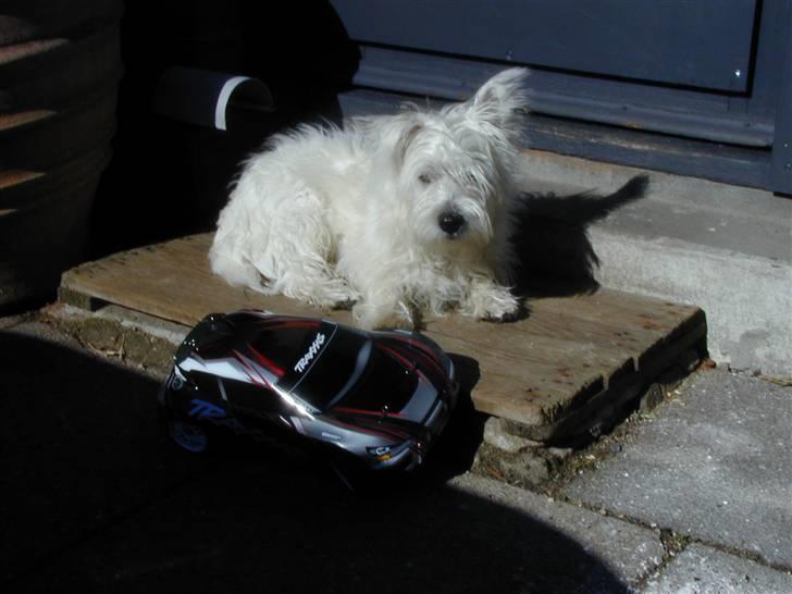 Bil traxxas Rally vxl billede 10