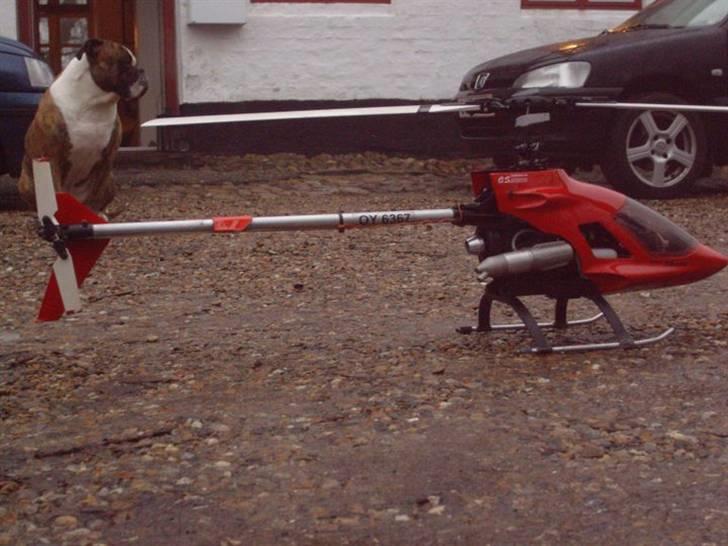 Helikopter Kyosho concept 30 billede 8