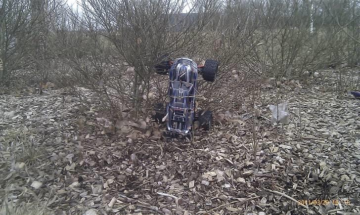 Off-Roader Traxxas E-Revo VXL 1:16 - Den blev sq lige fanget af en dusk... øhm busk billede 9