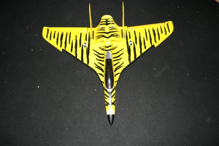 Fly jetiger. Arttech billede 1