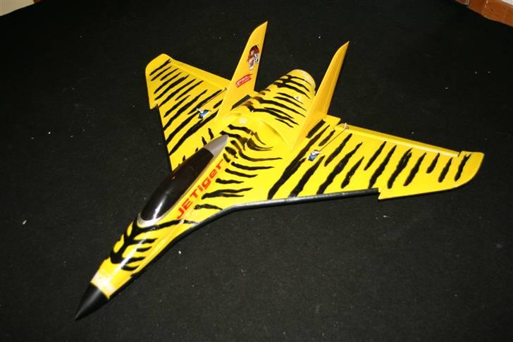 Fly jetiger. Arttech billede 2