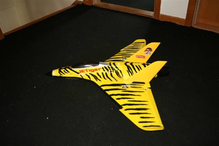 Fly jetiger. Arttech billede 5