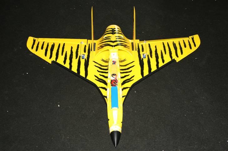 Fly jetiger. Arttech billede 6