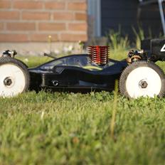 Buggy Team Durango DNX408