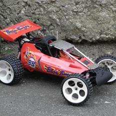 Buggy FG Baja