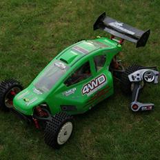 Buggy MCD race runner