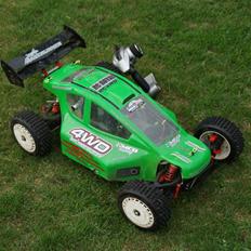 Buggy MCD race runner