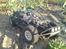 Off-Roader HPI Mini Trophy