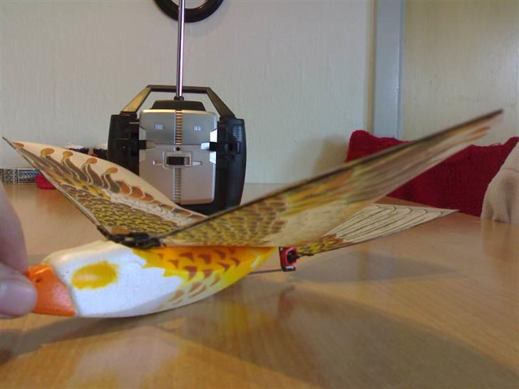 Fly Spybird billede 2