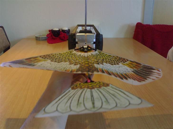 Fly Spybird billede 6